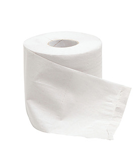 GreenTrail Toilet Paper 2 Ply 400 Sheets 48 Per Ctn