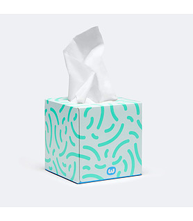 Who Gives A Crap Facial Tissue Cube 3 Ply 65 Sheets Bamboo Fibres