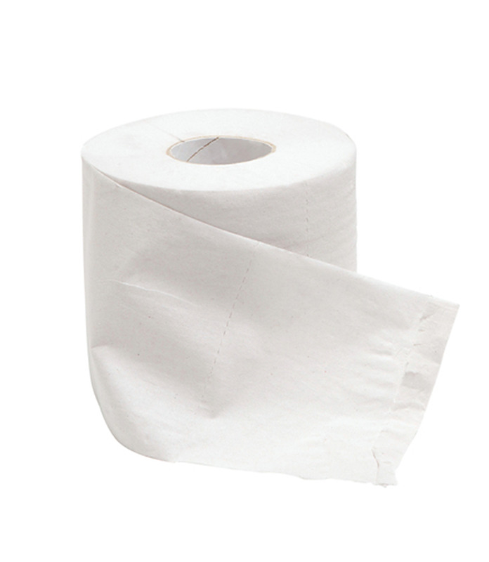 GreenTrail Toilet Paper 2 Ply 400 Sheets 48/ctn