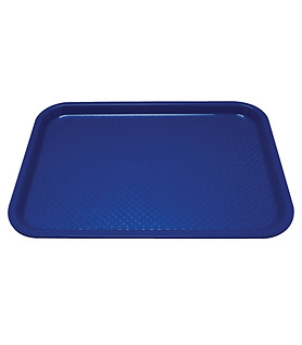 Blue Tray Large 