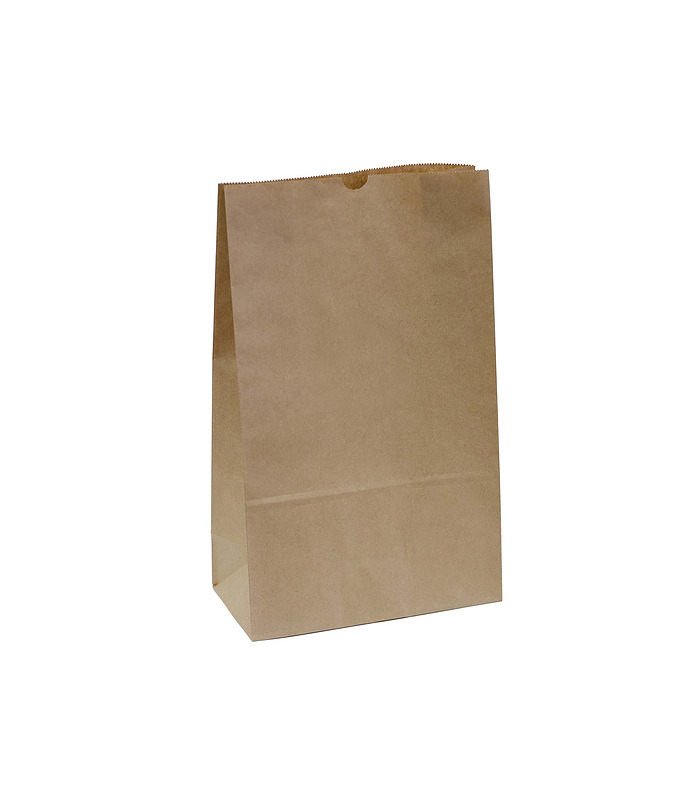 Paper Bag Brown 390 x 240 x 120mm