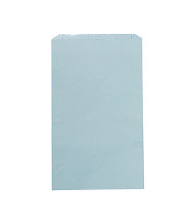 Paper Chicken Bag White Foil Lined