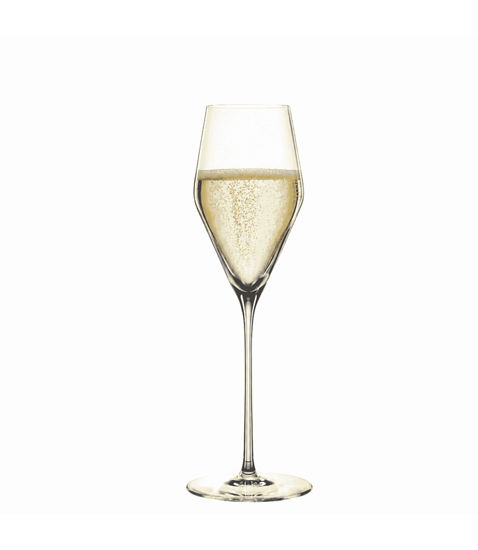 Spiegelau Definition Champagne 250ml (12)