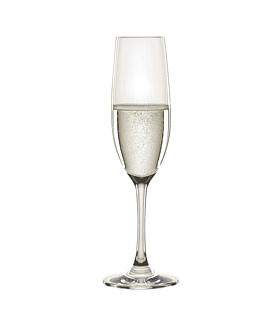 Spiegelau Winelovers Champagne 190ml (12)