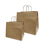 Paper Bags