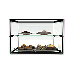 Food Display & Holding
